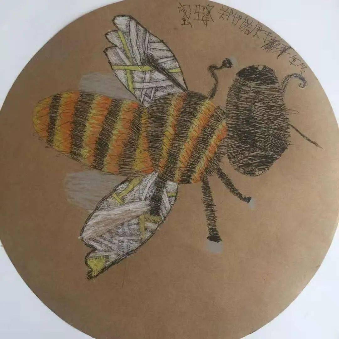 昆虫记——蜜蜂