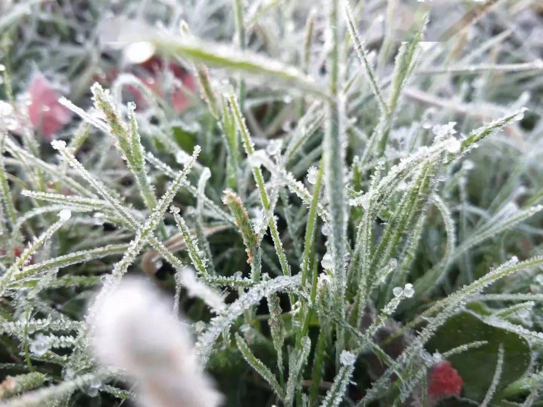 怀集下雪啦?来看看怀集的雪到底是啥!