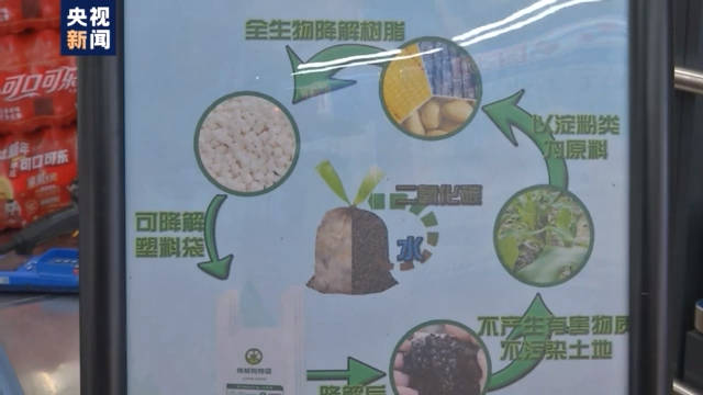 可降解塑料怎么分类?纸吸管真的更环保吗?看
