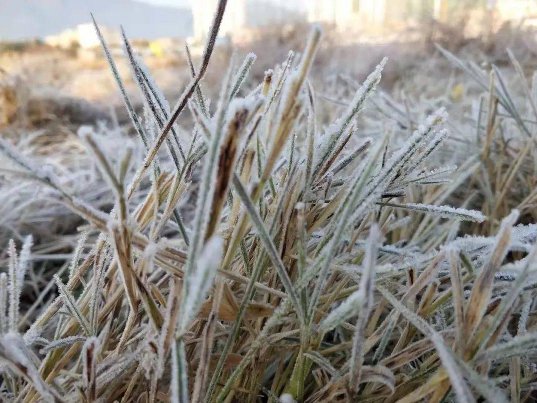 怀集下雪啦?来看看怀集的雪到底是啥!