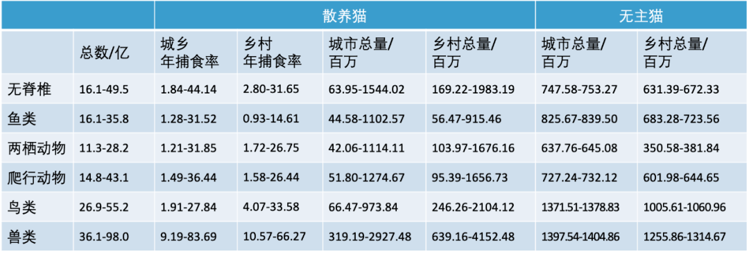 每年有上百亿野生动物死在了人畜无害的流浪猫手上