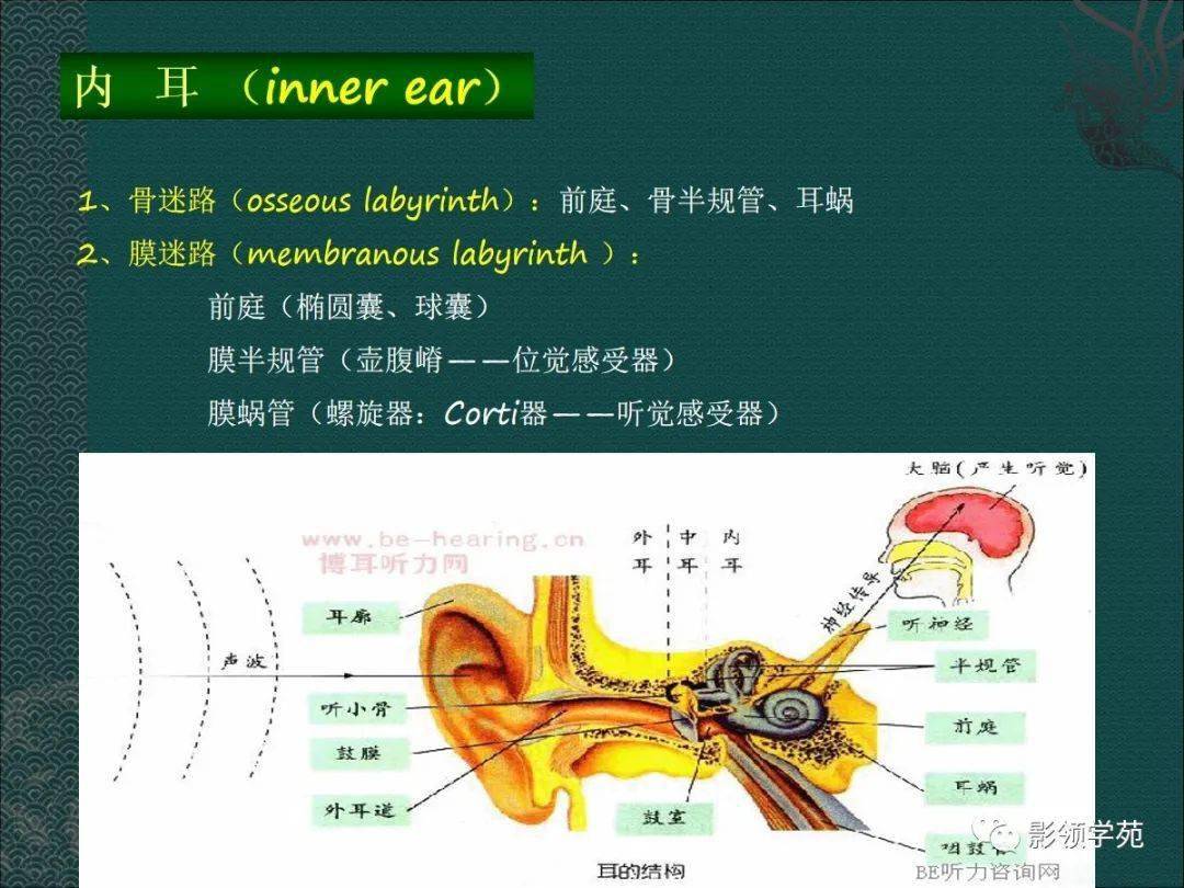 耳解剖及常见疾病影像表现