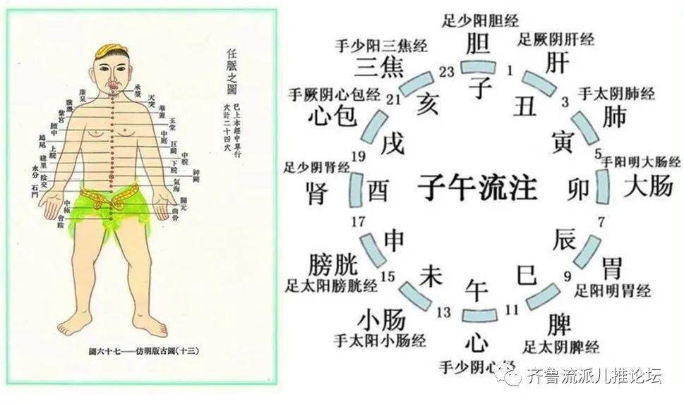 这是被大家熟知的子午流注图