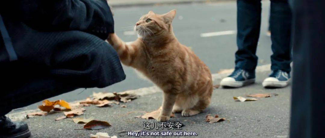 19d885193a4246658b2d109ac3dd83c3.jpeg