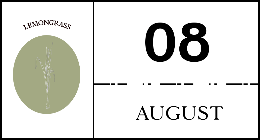 如何折盲盒 36ea1dd2165b405f88cafb8e25ca5207.png