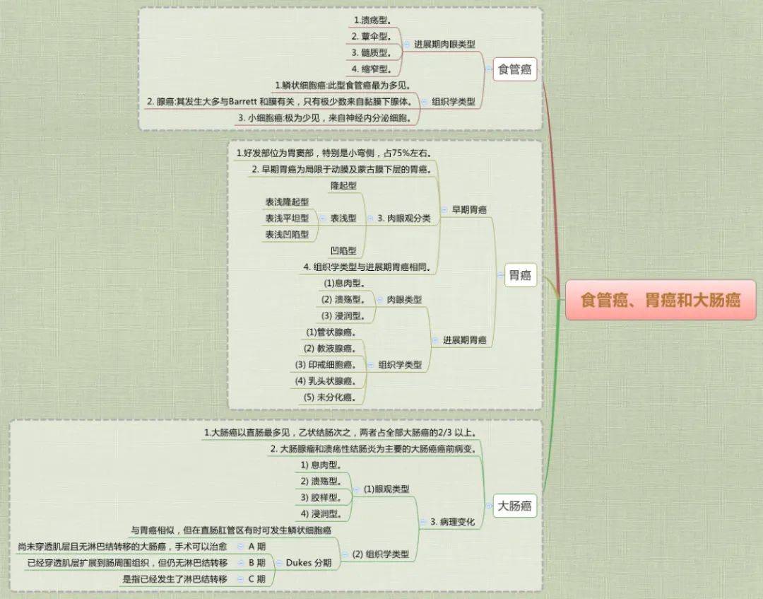 你想要的医学思维导图都在这里了