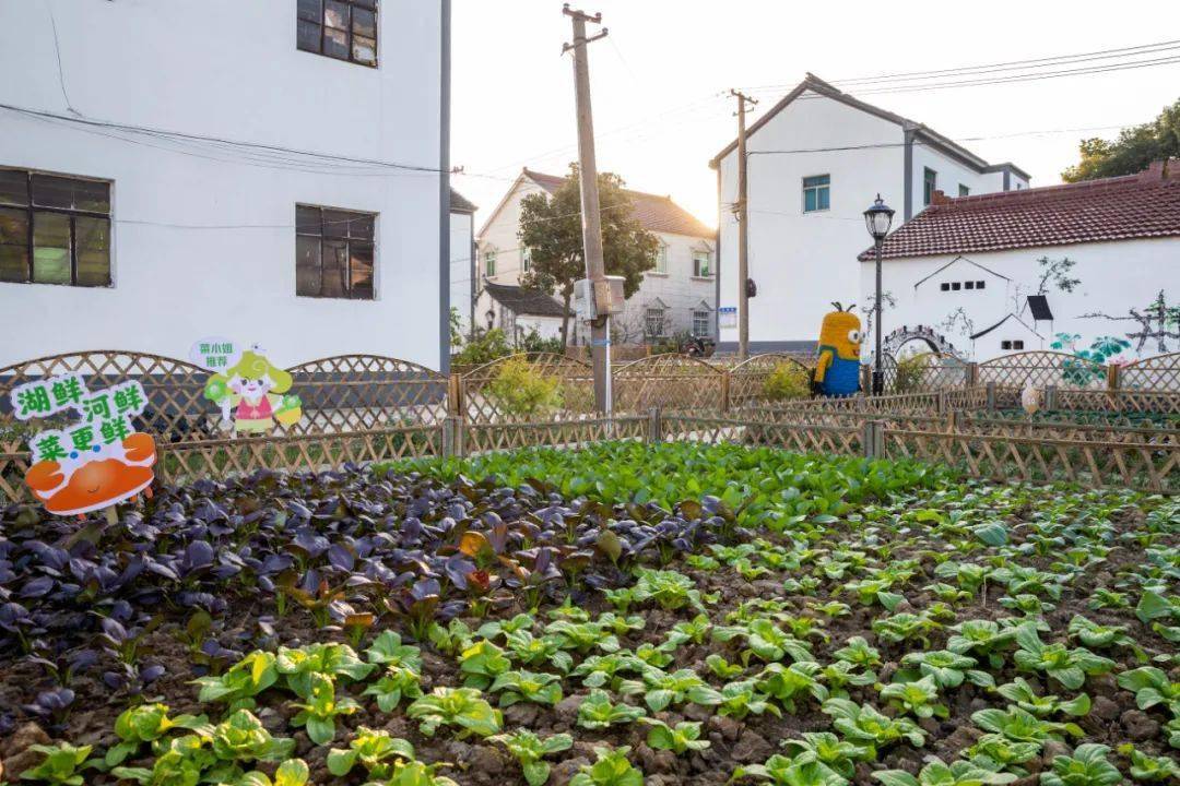 "江村"康居路丨光荣村:将诗意般的田园生活造梦成真