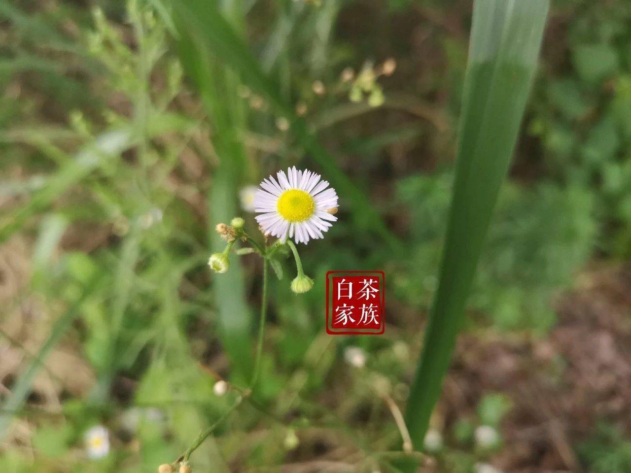 240dc6d1e49d447da9547b8a184992cd.jpeg