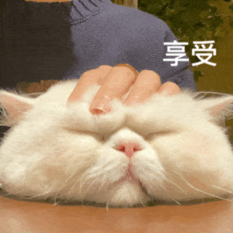 魅力四射 阳光撒在她的脸上 映出漂亮的影子 认真工作的女人果然最美