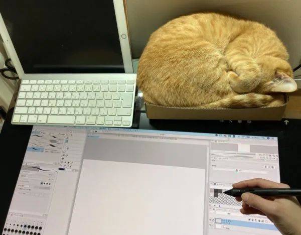 有什么办法不让猫尿床 be1b5238086a4eb6b5e1fb0f15bdb8ce.jpeg