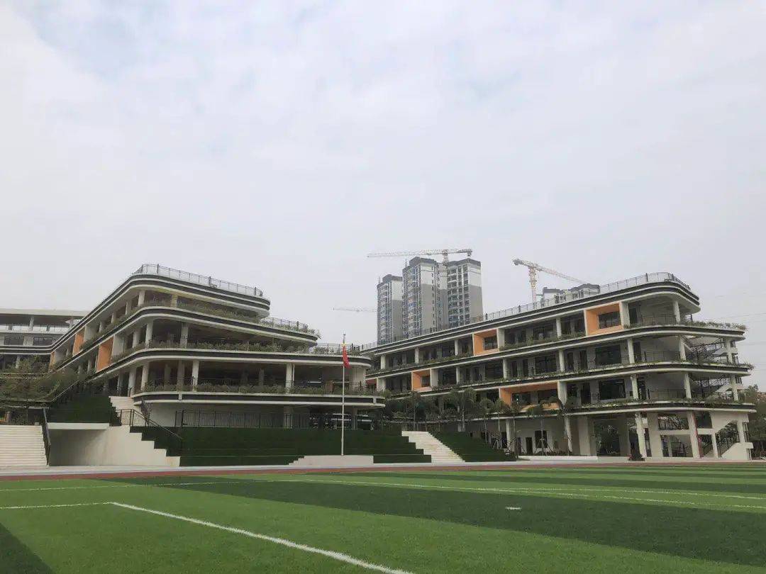 2020大亚湾公立学校_最新!2020年义务教育阶段公办学校招生政策