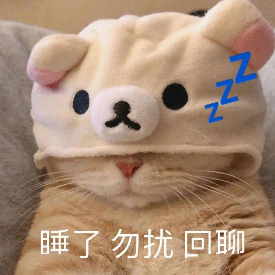 【沙雕猫表情包】橘猫沙梨表情包