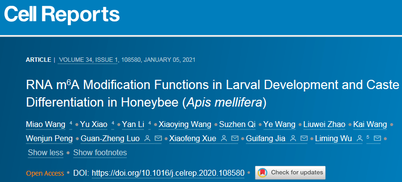 中国油价调整机制科学合理吗 fce0fa8442fd47efbda607c6b0abf9fc.png