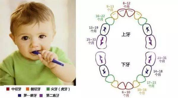 如何帮助宝宝缓解出牙不适?