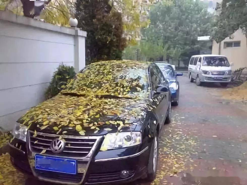 车放几个月不开，车里的汽油会挥发变少吗？乙醇汽油能存放多久？_搜狐汽车_搜狐网