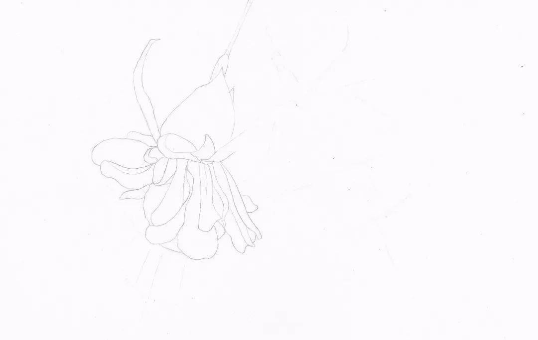 f6ccdae391c64cc4a79e2c69e33146a3.jpeg