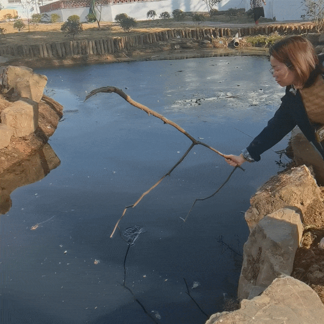 为何陈的爱心义举点赞~!