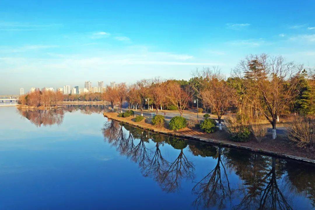 慈溪的冬日这里有一道美丽的风景