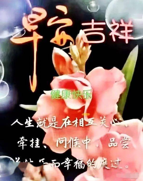 中老年表情包,被牵挂是一种幸福,今生我愿为你守候!