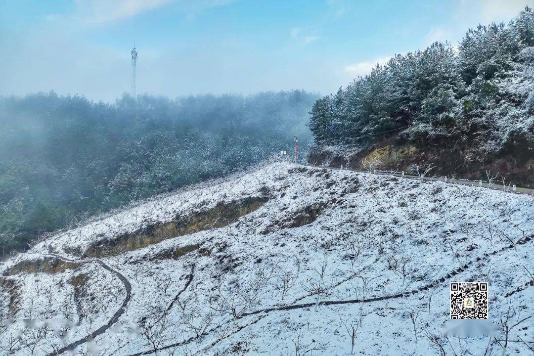 下雪啦下雪啦开州南岭公园秒变梦里雪乡