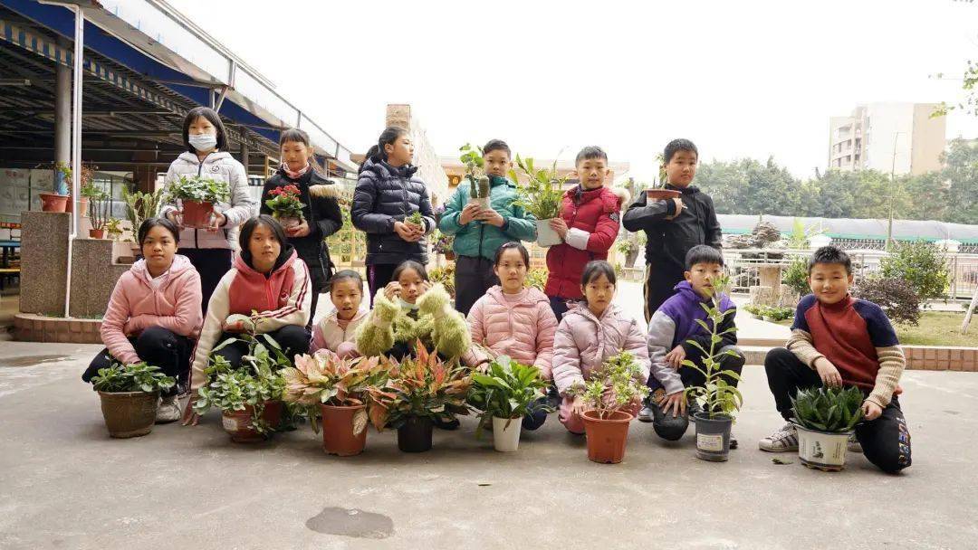 芬芳校园花满园—桃园小学"小小花王"评比结果出炉_冯俊