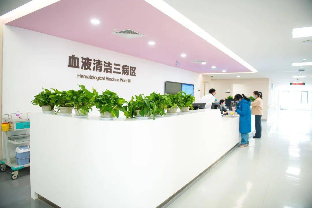 落户瑞金医院的转化医学大设施病房迎来第一位患者_手机搜狐网