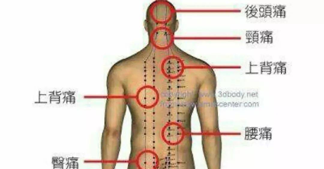 解析背部经络不通的症状有什么办法可以疏通