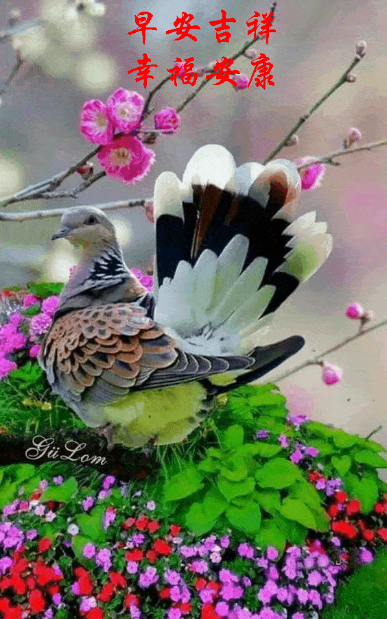 564_903 竖版 竖屏