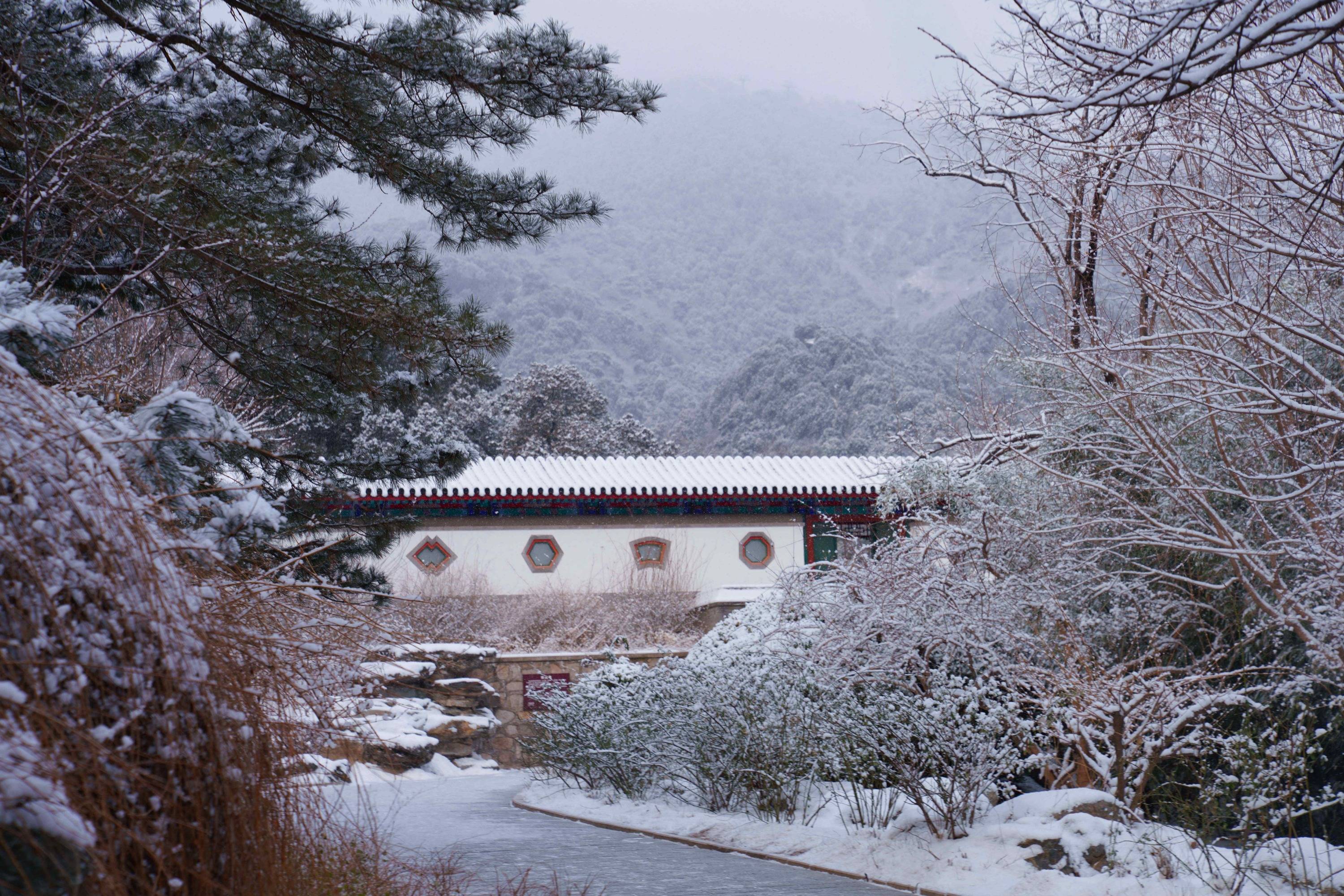 当皇家园林遇上飞雪…_香山公园