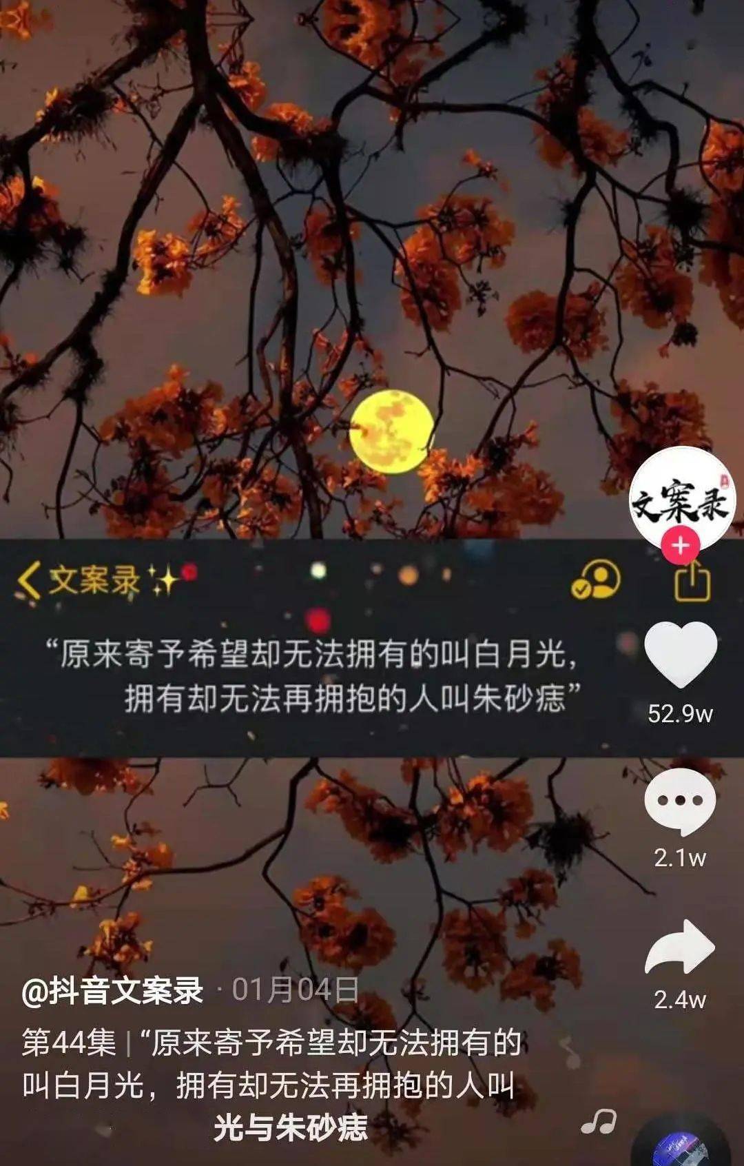 "白月光在照耀,你才想起她的好,朱砂痣久难消,你是否能知道.