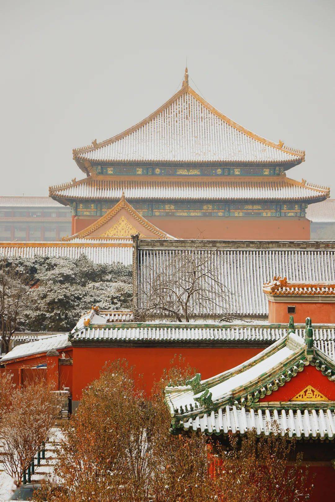 故宫的雪|一夜梦回紫禁城