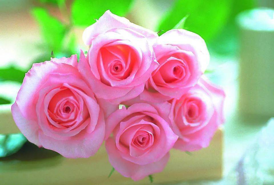 清晨最唯美的早安心语分享,满满正能量,句句打动人心的好句子