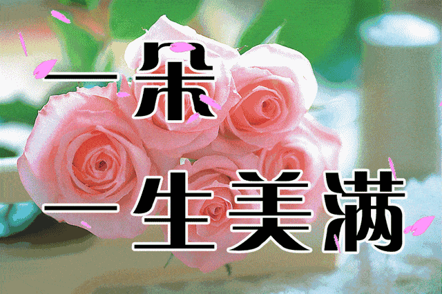 友谊是一棵青松, 执着的感情不会放弃!