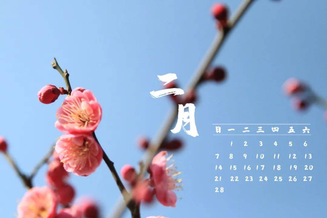 张张都是壁纸2021版太湖度假区定制日历