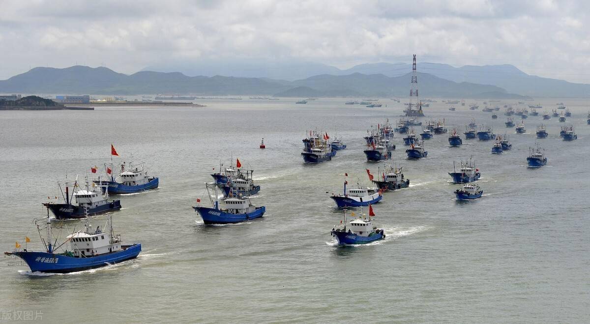 东海的危机舟山渔场破产如今被污染成死海