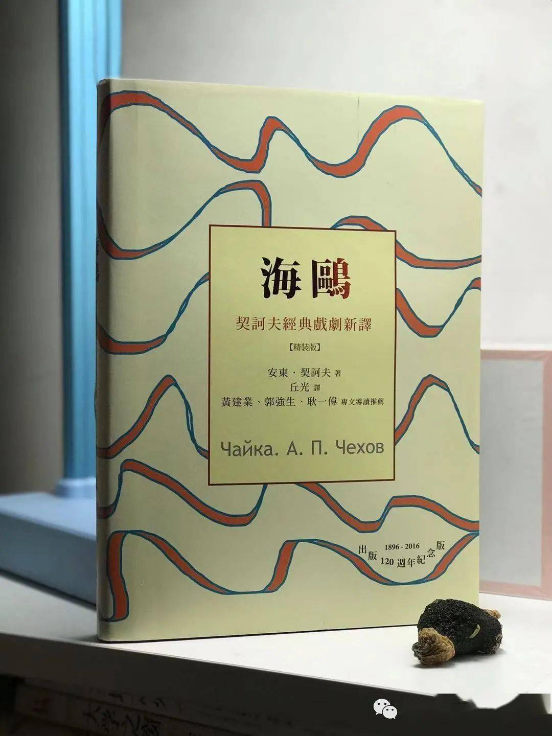 我看见三只海鸥——翻译契诃夫的《海鸥》
