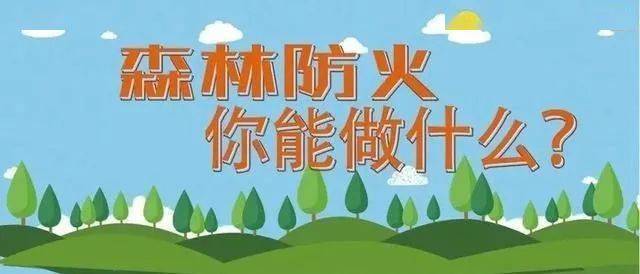 森林防火,你我能做什么?
