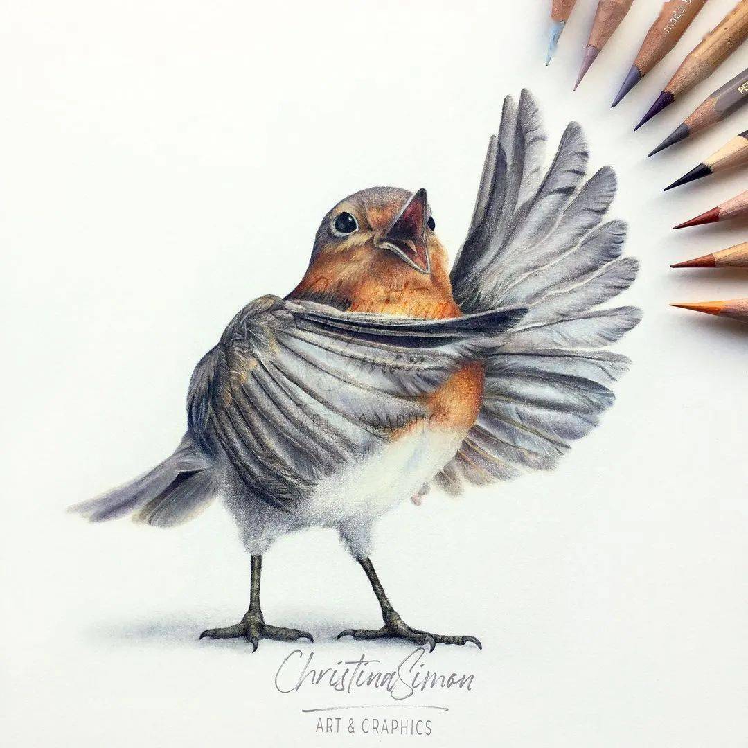美女插画师用彩铅画出了超精致小动物,彷佛听到了鸟叫声