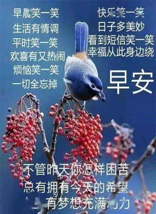 最新漂亮的周二早上好表情包,天气在变关怀不变,愿你