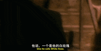 《红玫瑰与白玫瑰》:感情世界的扎心真相,被这3句话说