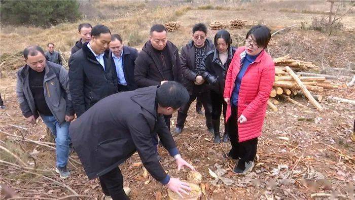 李庆红调研独山林下经济产业发展情况