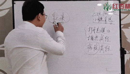 送你一套小腿全息疗法,不扎针,不记穴,点按小腿可调病