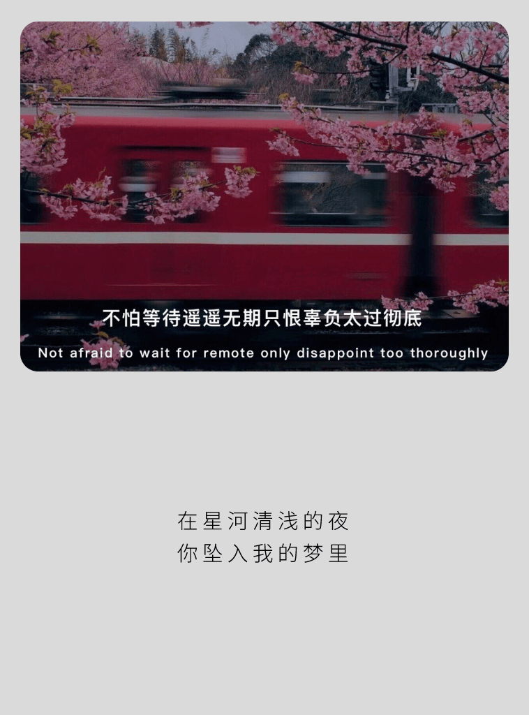 背景图各有归舟各有渡口