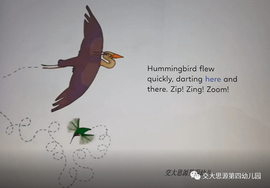 【四幼播报】--英语亲子绘本hummingbird and heron