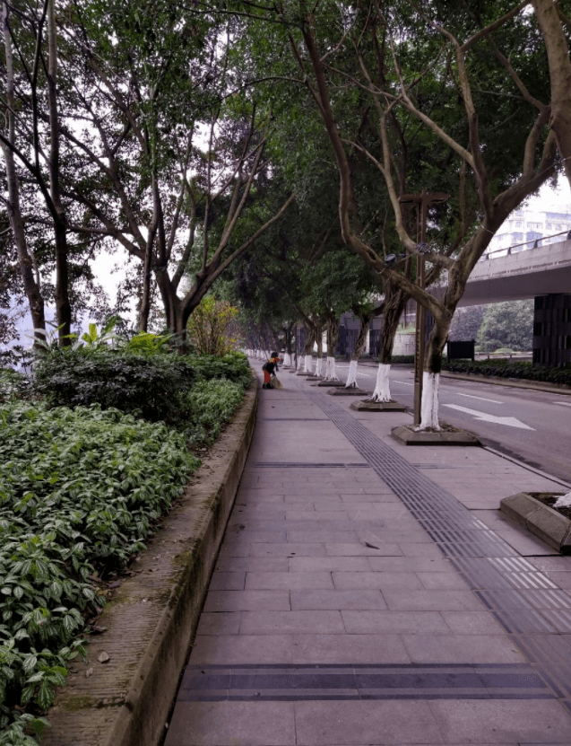 公共场所不应随地大小便
