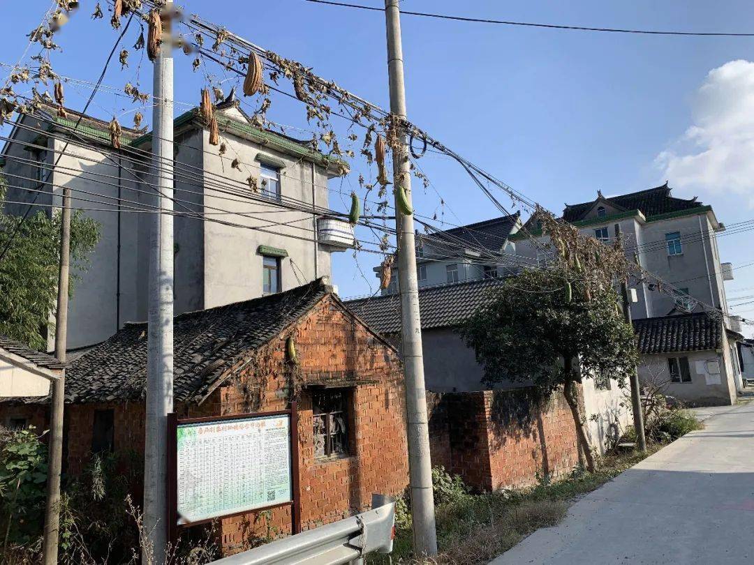 【三大革命】环境整治常态化!马厩村全域秀美进行时
