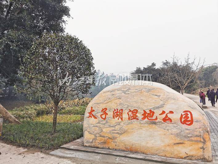 太子湖湿地公园检查太子湖污水处理站1月29日,由内江经开区建设局和