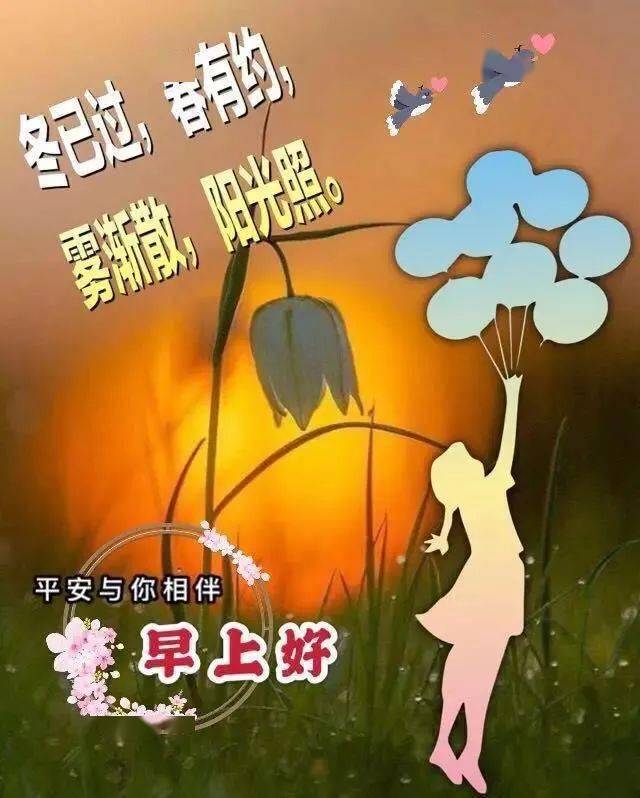 2021朋友圈清晨暖心祝福问候图片,唯美鲜花早上好温馨