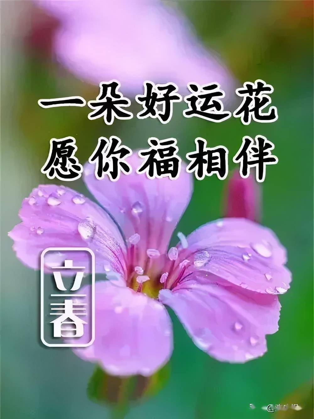 明日立春,最早的问候,送给我最珍惜的朋友_祝福