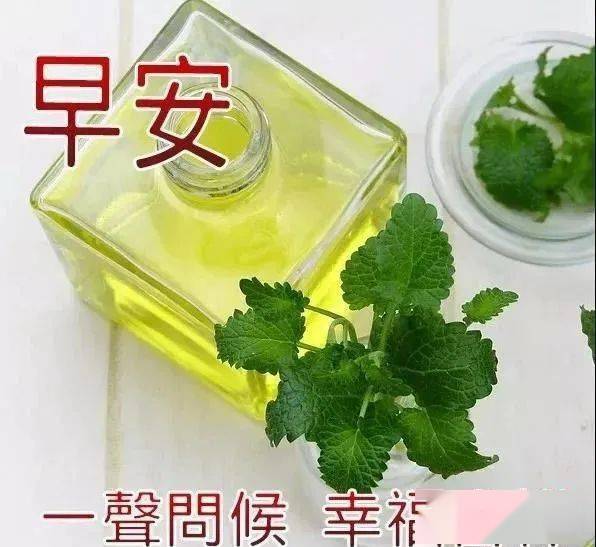 2021年最美微信图片,2021最流行的图片唯美 2021最美早上祝福语短信短句子,微信最新漂亮早晨好表情图片